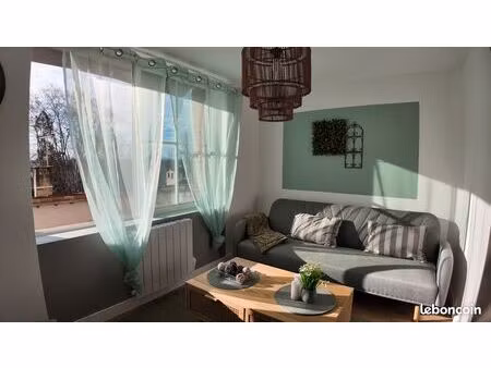 appartement t3 rénové coeur de ville