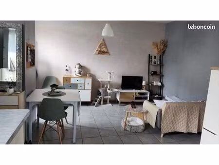 appartement vierzon village avec garage