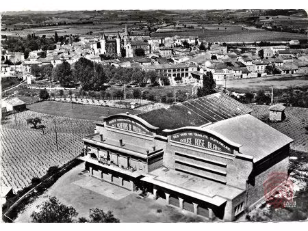 exclusif authentique cave coopérative