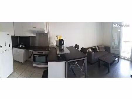 t3 meublé coeur de st cyprien