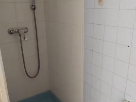 studio jardin des plantes