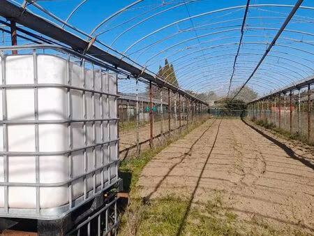 location jardin potager