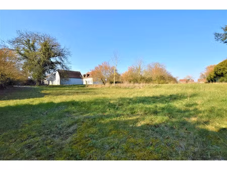 vente terrain 885 m2 à cressonsacq