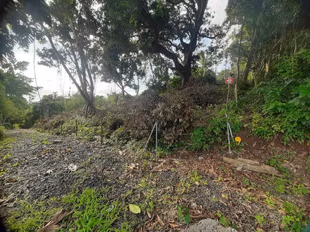 vente terrain  1082.00m²  ducos