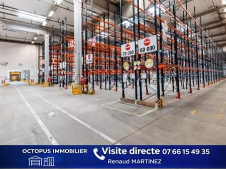 location entrepôt 313 m² à 10 583 m²