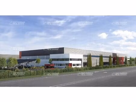 location entrepôt logistique 35 892 m²