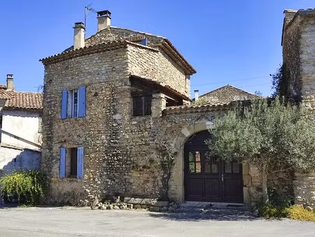 maison de village de caractère cour  terrasses et jardin - montmoirac