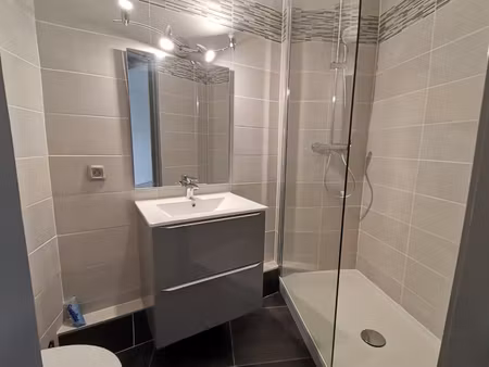 appartement saint etienne 1 pièce 31 m2