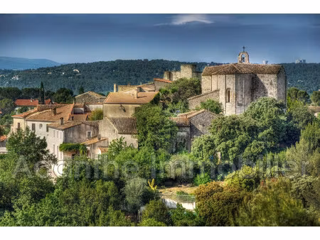 vente terrain