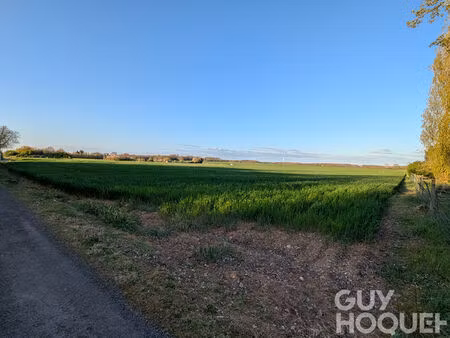 1232 m2 de calme  la tondeuse en option