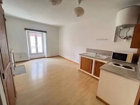 appartement grenoble 1 pièce(s)