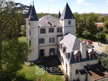chateau xixe - piscine - dependances - 3 4ha