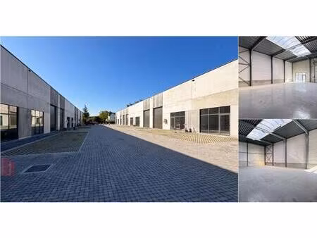 surface industrielle à louer à / / alost (rbv76376)