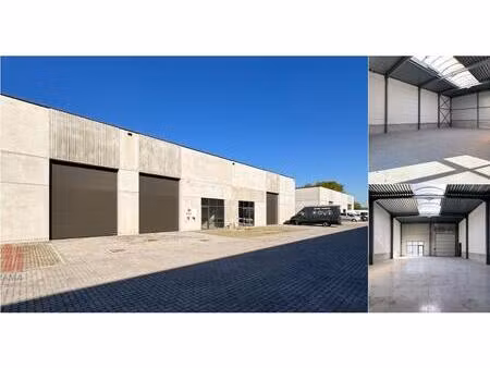 surface industrielle à louer à schaapschuur 6 affligem (rbv76381)