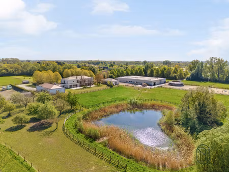 huis te koop in deinze met 7 slaapkamers