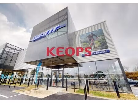 location commerce colomiers 31770 500m²