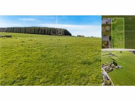 terrain à bâtir à vendre à grand houmart durbuy (vbe14702)