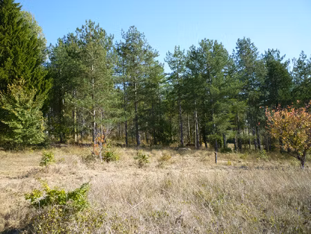 exclusivite -terrain de loisirs