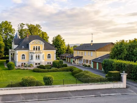 en vente immeuble de rapport 540 m² – 325 000 € |étain