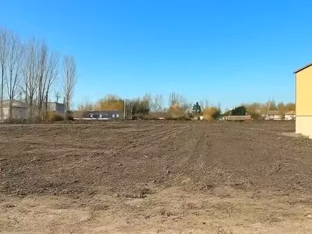 vente terrain 9 000 m²