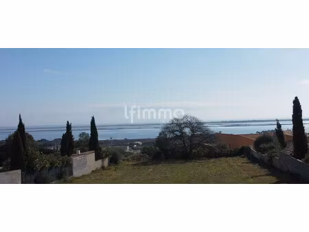 vente terrain