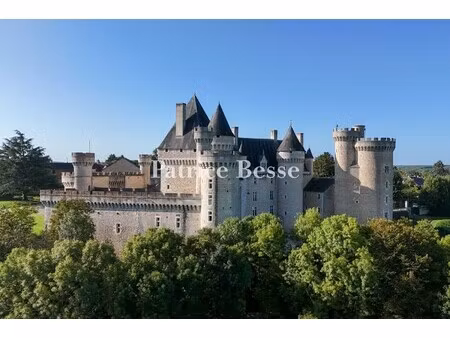 château à vendre à châteauroux