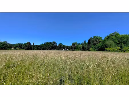 vente moulin 6 pièces 300 m² à peyrehorade (40300)  750 000 €
