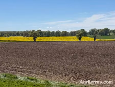 vente ferme 15 pièces à saint-pourçain-sur-sioule (03500)  6 645 000 €