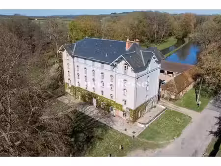 vente moulin 7 pièces 1500 m² à saint-cyr-sous-dourdan (91410)  4 000 000 €