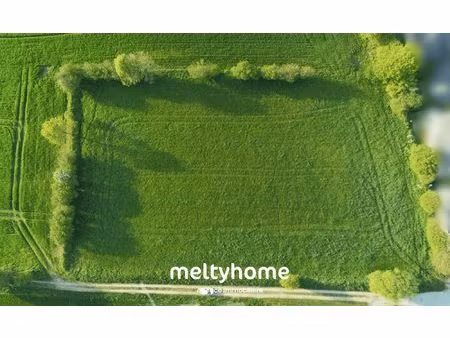 terrain constructible de 6 000m²