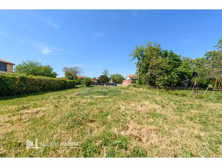 toulouse  lardenne  (rare)