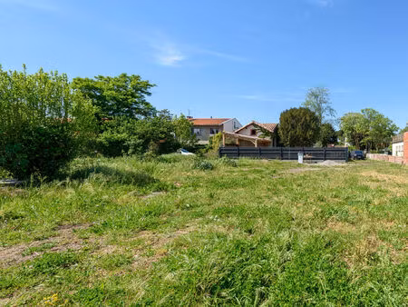 toulouse  lardenne  (rare)