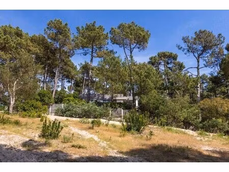 maison de luxe à vendre dans le quartier centre cap ferret