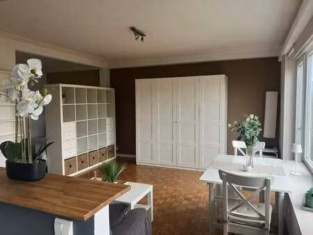 studio meublé lumineux 1 chambre etterbeek.