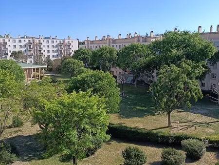 t4 appartement st tronc -ste marguerite