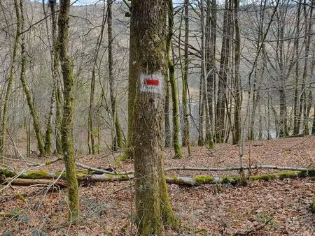 parcelle de bois de 1 386 m2 entre naux et nohan