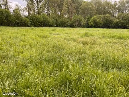 pâture pour chevaux