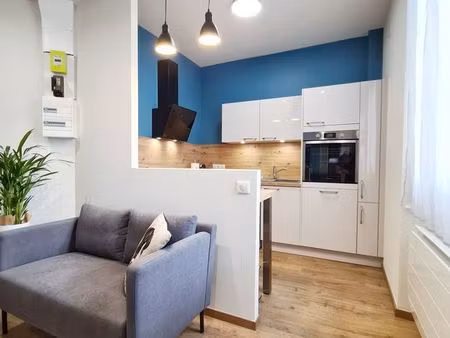 charmant appartement nancy centre