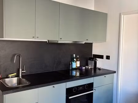 t1 bis  lumineux  cœur de ville