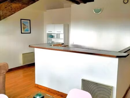 appartement 50m²  centre ville