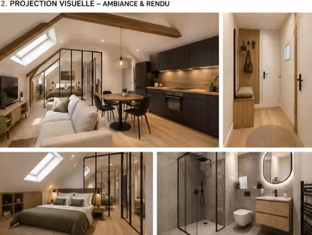 combles aménageables mâcon centre-ville