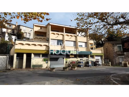 vente local industriel 570 m² saint-laurent-de-cerdans (66260)