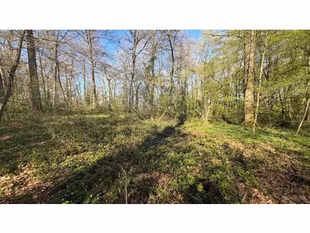 vente terrain 1710 m² à bois-le-roi (77590)  24 000 €