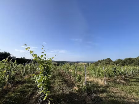 vente terrain 20000 m² à puy-d'arnac (19120)  33 000 €