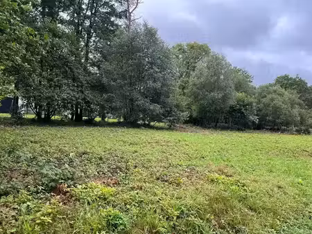 vente terrain 1155 m² à treffrin (22340)  17 660 €