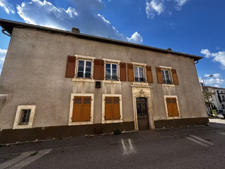 grande maison a renover a peltre
