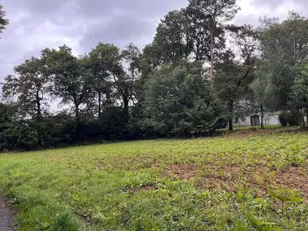 vente terrain à batir 765 m² à treffrin (22340)  12 980 €