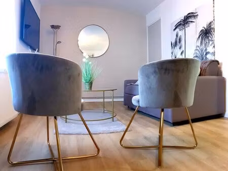 t2 meublé centre ville parking terrasse cours privée