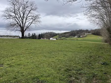 vente terrain 1186 m² à armendarits (64640)  65 000 €