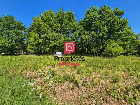 vente terrain 1256 m² à bazas (33430)  50 000 €